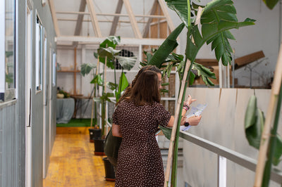 Un día en el taller de Flores la Tartana