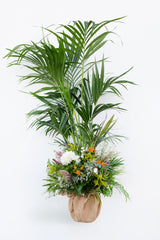 PALME &amp; BLUME