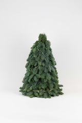 Einfacher Mini-Baum